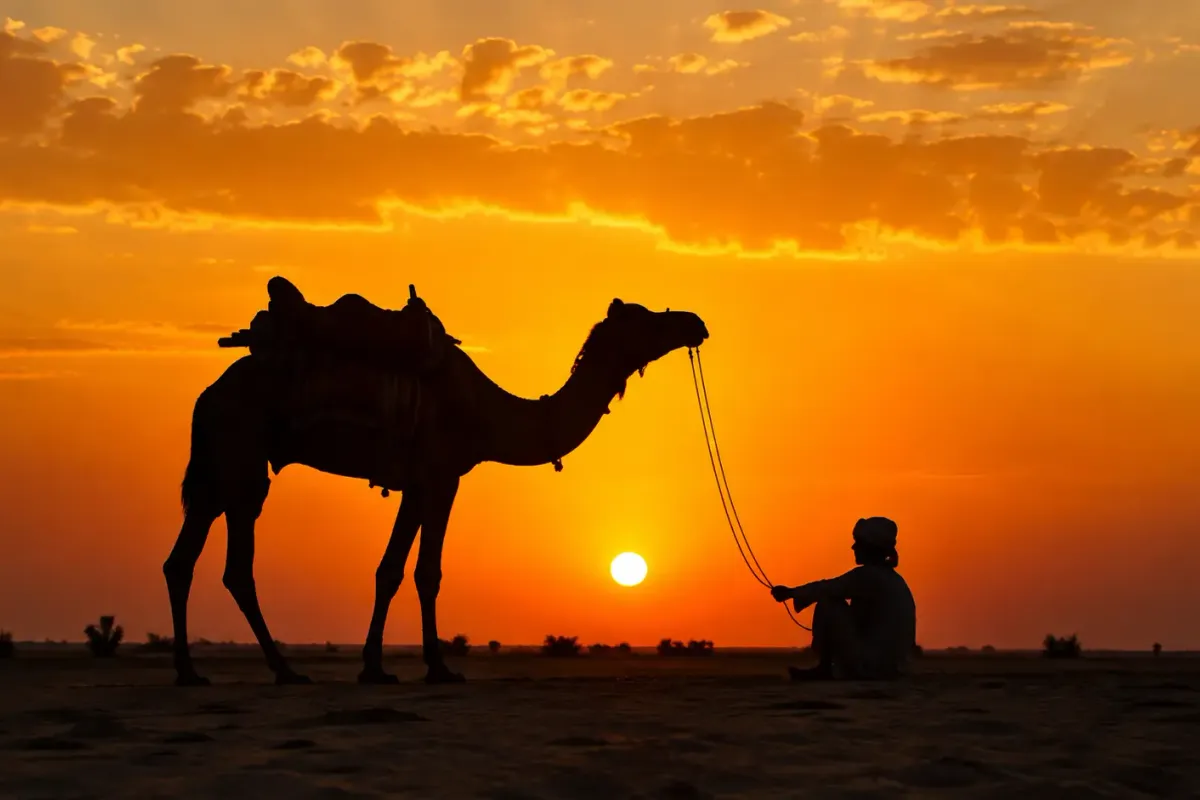 Best Time to Visit Kutch: Month-by-Month Weather Guide