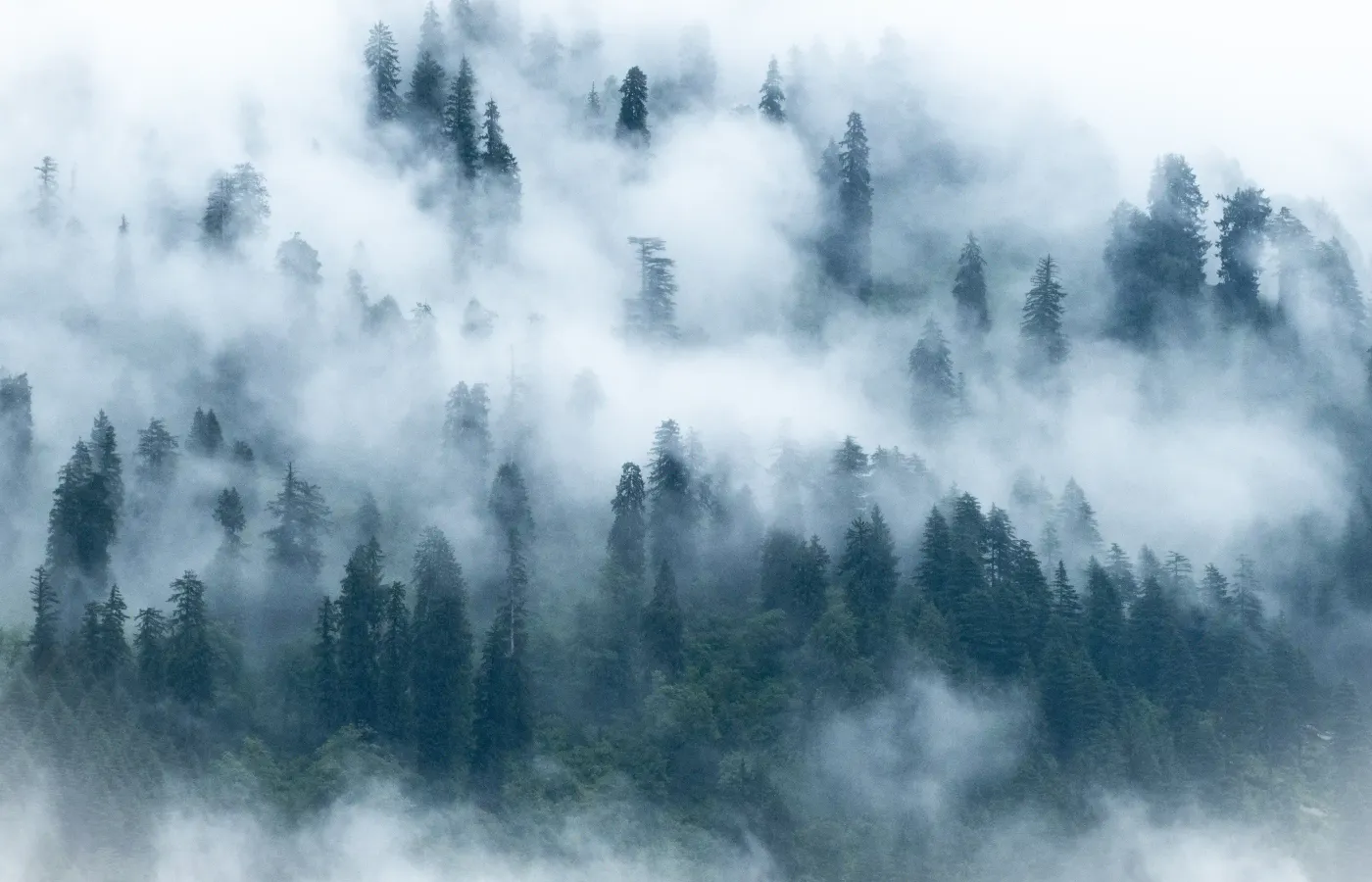 Manali